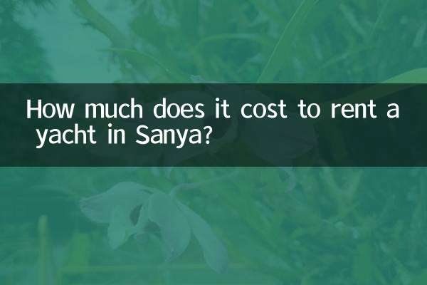 সানিয়াতে একটি ইয়ট ভাড়া নিতে কত খরচ হয়?