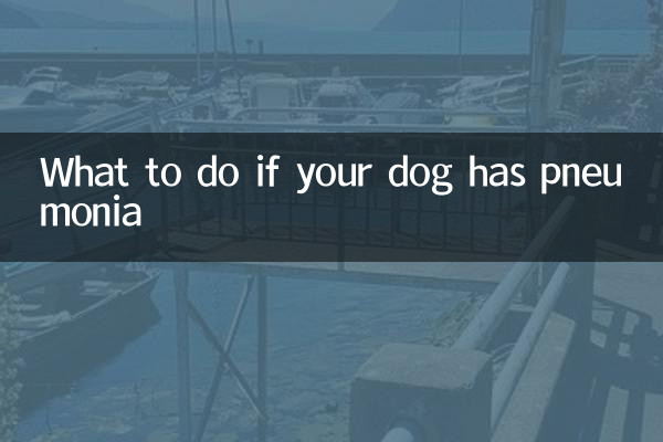 What to do if your dog has pneumonia