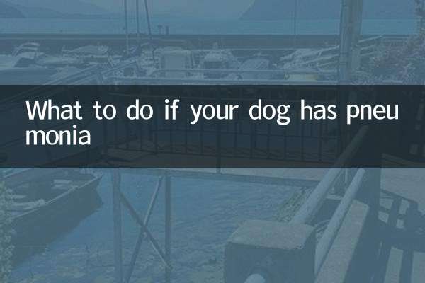 What to do if your dog has pneumonia