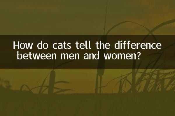 ¿Cómo diferencian los gatos entre hombres y mujeres?