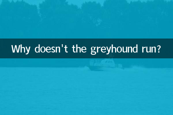 格力犬怎么不跑