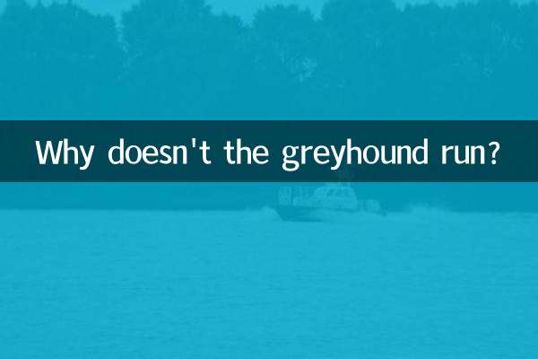 格力犬怎么不跑