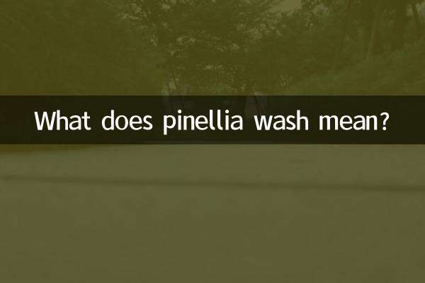 What does pinellia wash mean?