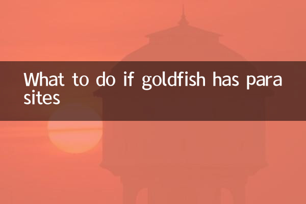 金魚有寄生蟲怎麼辦