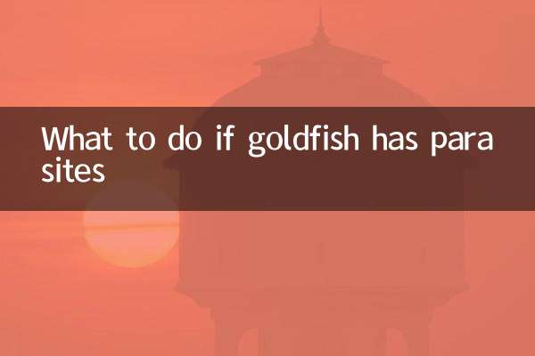 اگر ماهی قرمز دارای انگل باشد چه باید کرد؟