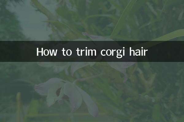 Как подстричь шерсть корги