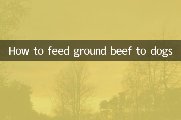 Comment donner du bœuf haché aux chiens
