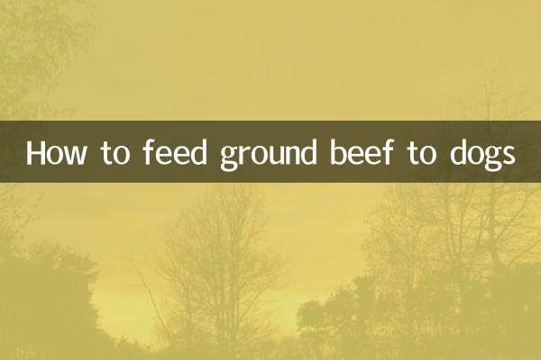 Comment donner du bœuf haché aux chiens