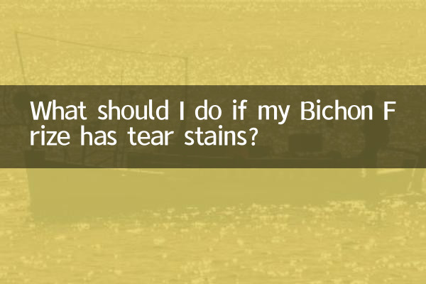 ماذا يجب أن أفعل إذا كان Bichon Frize يعاني من بقع مسيل للدموع؟