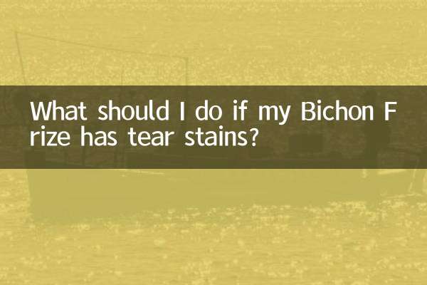 比熊犬有淚痕怎麼辦