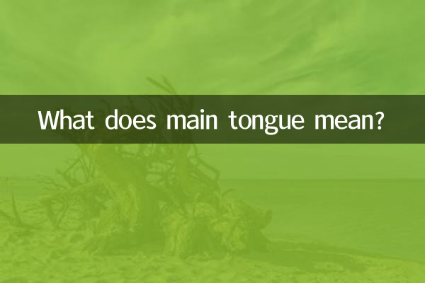 ¿Qué significa lengua principal?