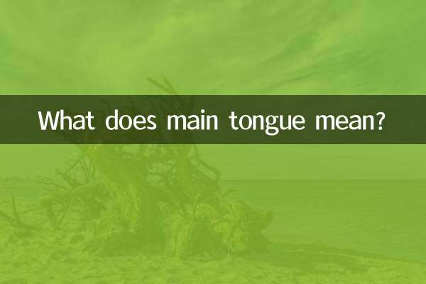 ¿Qué significa lengua principal?