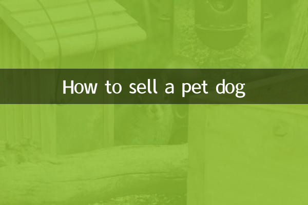 怎麼把寵物狗賣出去