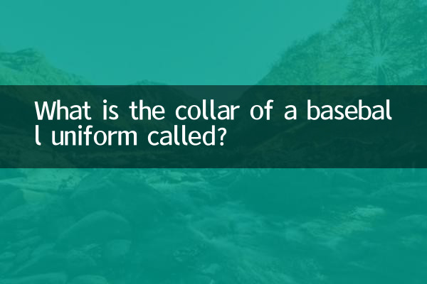 야구 유니폼의 칼라는 무엇입니까?