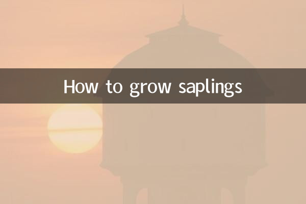 Come coltivare gli alberelli