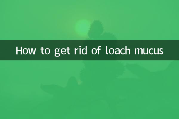 چگونه از شر موکوس لوچ خلاص شویم