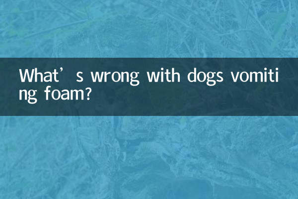 犬が泡を吐くと何が問題になるのでしょうか?