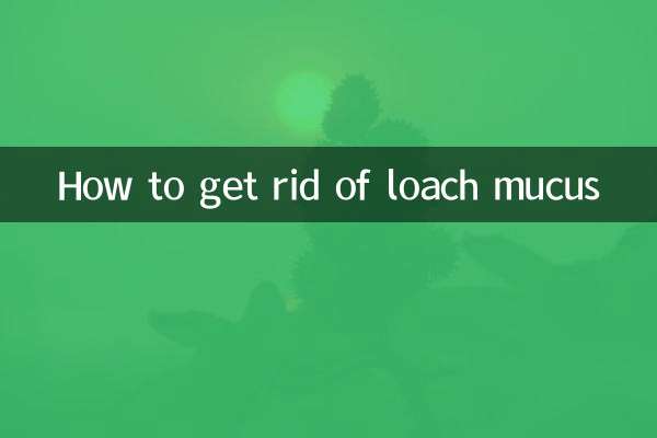 কিভাবে loach শ্লেষ্মা পরিত্রাণ পেতে