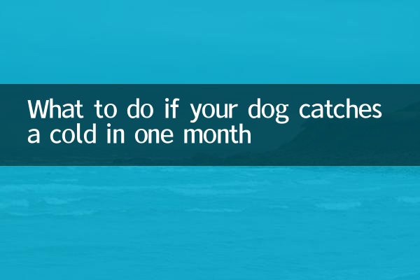 Was tun, wenn Ihr Hund innerhalb eines Monats eine Erkältung bekommt?