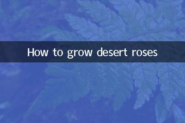 How to grow desert roses
