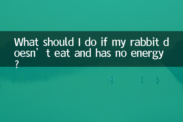 আমার খরগোশ না খায় এবং শক্তি না থাকলে আমার কী করা উচিত?