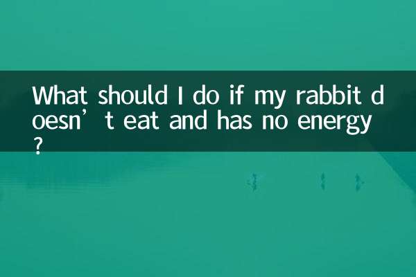 Cosa devo fare se il mio coniglio non mangia e non ha energia?