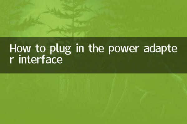 How to plug in the power adapter interface