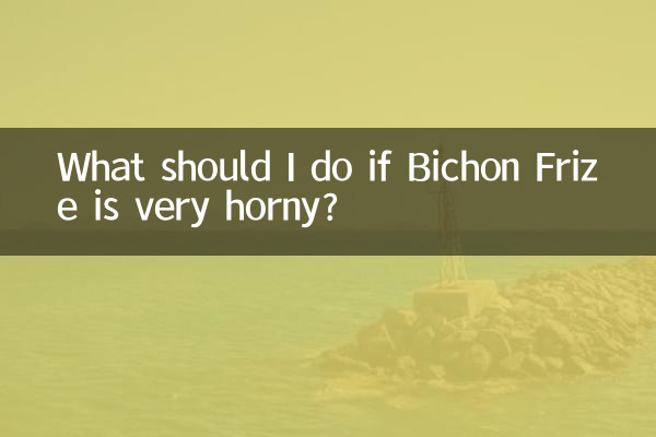 Что делать, если Бишон Фризе очень возбужден?