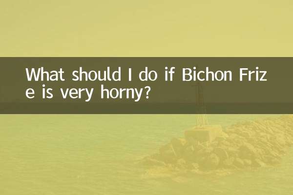 Что делать, если Бишон Фризе очень возбужден?