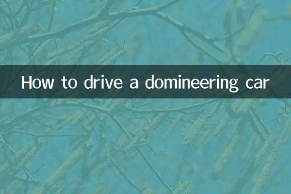 কিভাবে একটি আধিপত্য গাড়ি চালাতে হয়