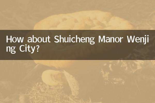 Qu'en est-il du manoir Shuicheng de la ville de Wenjing ?