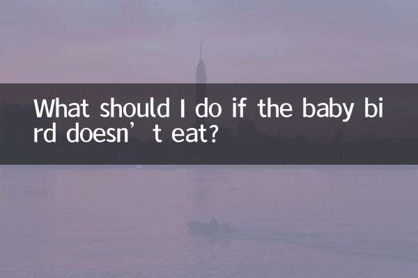 यदि चिड़िया का बच्चा नहीं खाता तो मुझे क्या करना चाहिए?