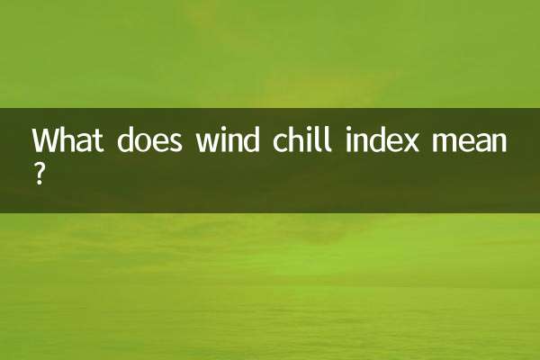 체감온도 지수는 무엇을 의미하나요?
