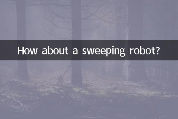 Que diriez-vous d'un robot balayeur ?