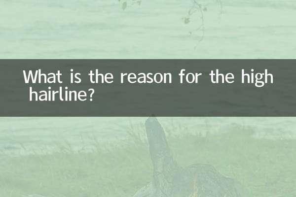 Quelle est la raison de la racine des cheveux haute ?