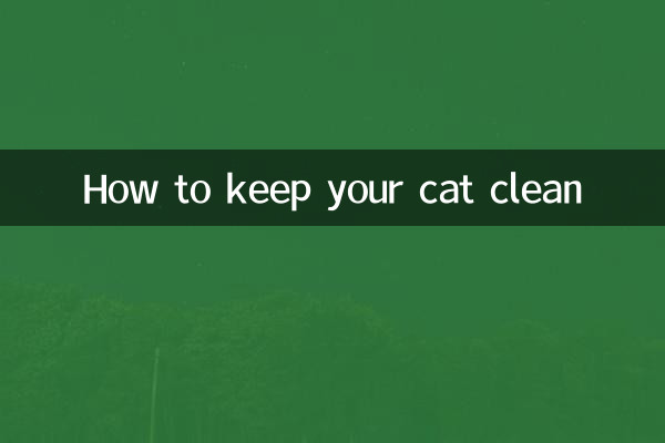 How to keep your cat clean