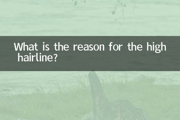 髮際線偏高是什麼原因