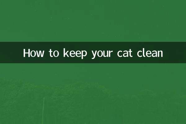 How to keep your cat clean