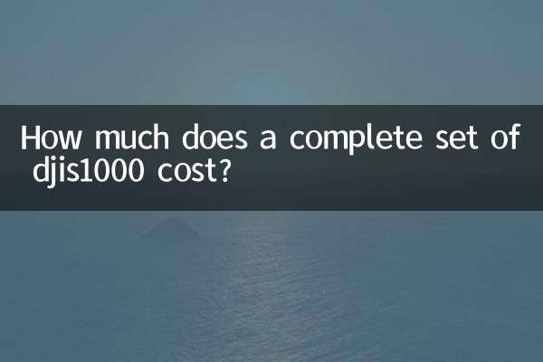 How much does a complete set of djis1000 cost?