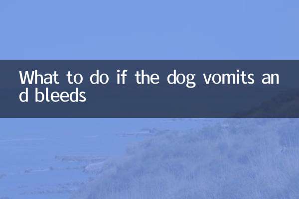 O que fazer se o cachorro vomitar e sangrar