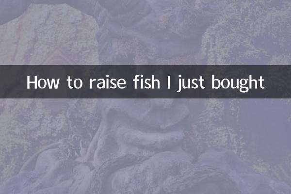 Come allevare pesce che ho appena comprato