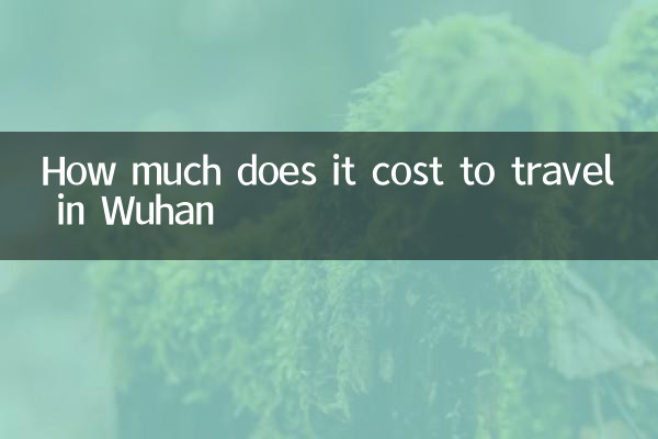 How much does it cost to travel in Wuhan