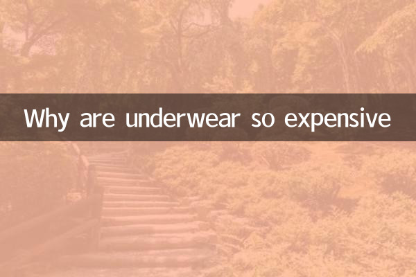 ¿Por qué la ropa interior es tan cara?