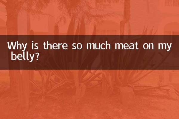 Por que há tanta carne na minha barriga?