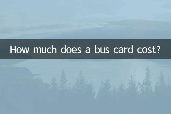 How much does a bus card cost?