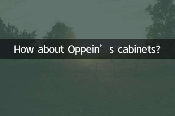 Oppein의 캐비닛은 어떻습니까?