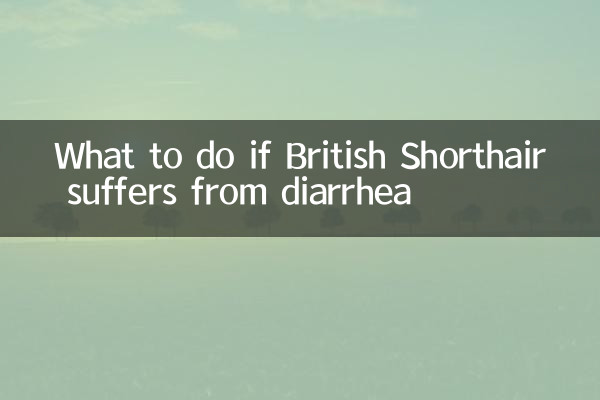 Que faire si British Shorthair souffre de diarrhée