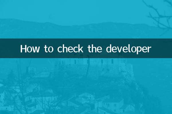 So überprüfen Sie den Entwickler