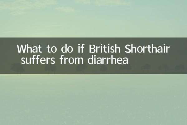Que faire si British Shorthair souffre de diarrhée