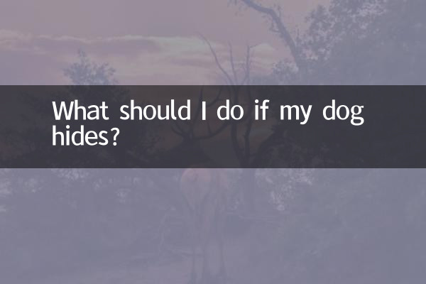 狗狗躲起来怎么办